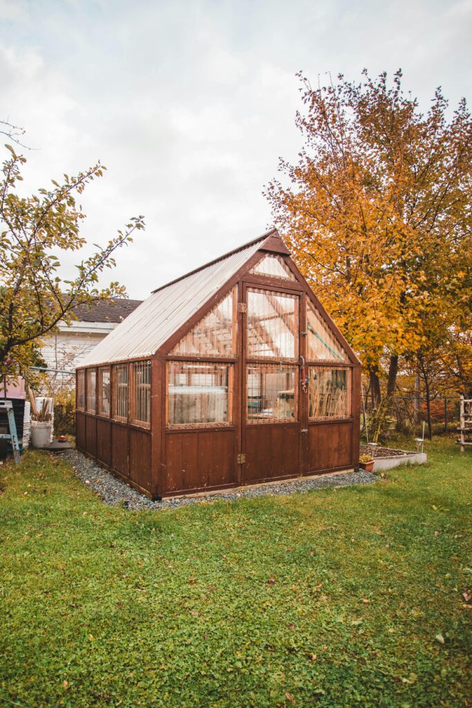 Greenhouse style shed in a yard with trees in the background | Finding the Right Size Amish Shed | Rooster's Amish Sheds, WV
