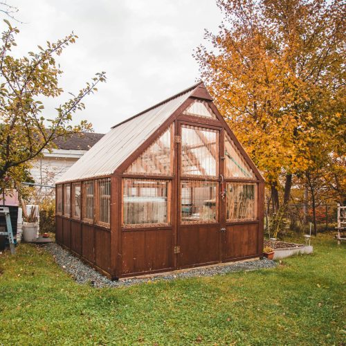Greenhouse style shed in a yard with trees in the background | Finding the Right Size Amish Shed | Rooster's Amish Sheds, WV