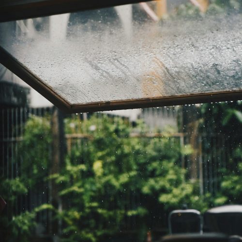 suhyeon-choi-HCDugQDdtfc-unsplash